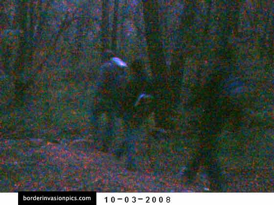 3 at dawn, Oct 3, 2008