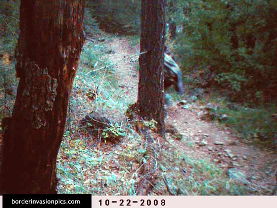 1st of 2 photos of illegal aliens