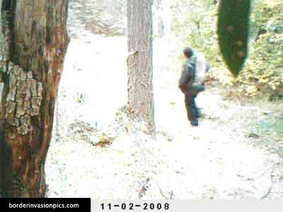 illegal aliens - single shot