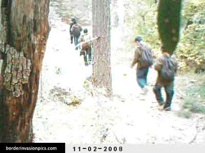 illegal aliens - single shot