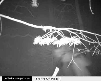 illegal aliens - night shot