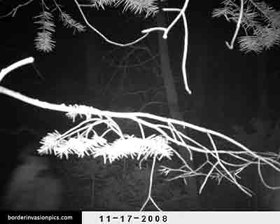 illegal aliens - night shot