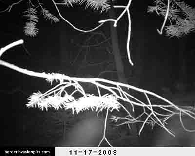 illegal aliens - night shot