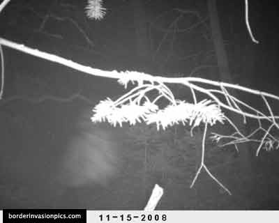 illegal aliens - night shot