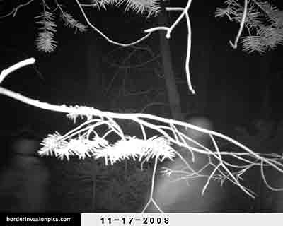 illegal aliens - night shot