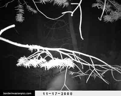 illegal aliens - night shot