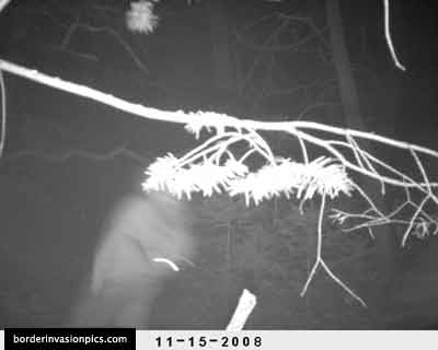 illegal aliens - night shot