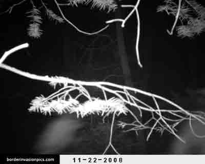 illegal aliens - night shot