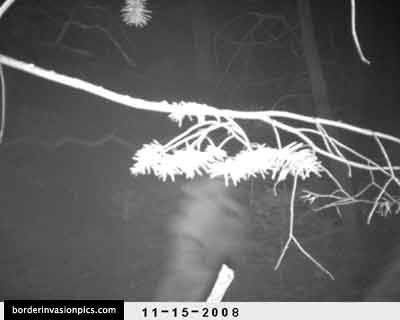 illegal aliens - night shot