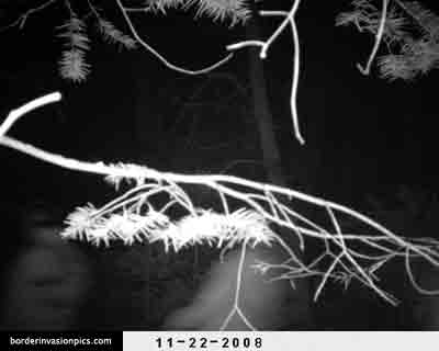 illegal aliens - night shot