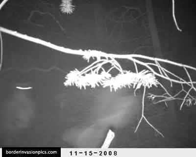 illegal aliens - night shot