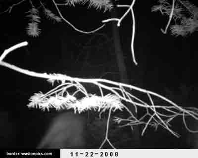 illegal aliens - night shot