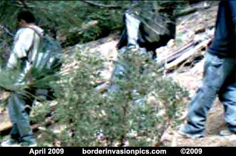 Illegal aliens on a popular trail