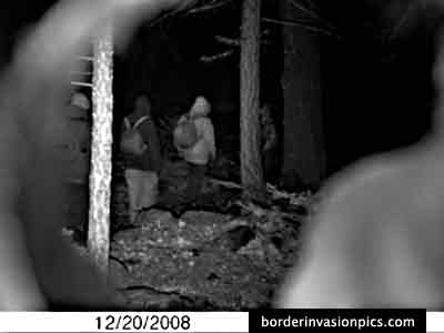 illegal aliens